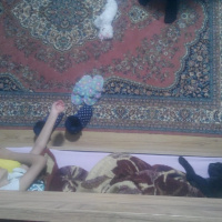 Bombay, Kedi  Suga fotoğrafı