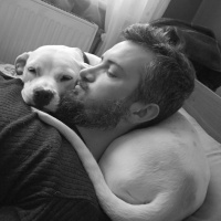 Dogo Arjantin, Köpek  Yuli fotoğrafı