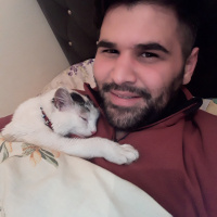 Tekir Kedi, Kedi  Duman fotoğrafı