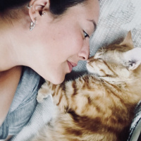 Sarman, Kedi  Halley Kuki fotoğrafı