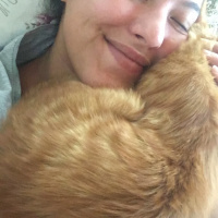 Sarman, Kedi  Halley Kuki fotoğrafı