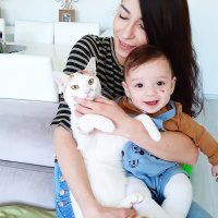 Tekir Kedi, Kedi  Ares fotoğrafı