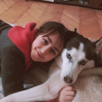 Sibirya Kurdu (Husky), Köpek  Mia fotoğrafı
