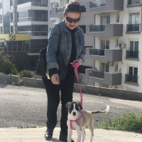 Sokö (Sokak Köpeği), Köpek  Mina fotoğrafı