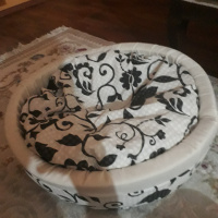 Sarman, Kedi  Arya fotoğrafı
