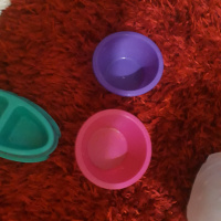 Sarman, Kedi  Arya fotoğrafı