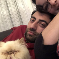 İran Kedisi (Persian), Kedi  Mocha fotoğrafı