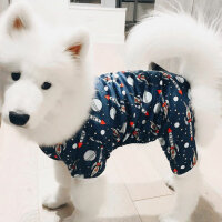 Samoyed, Köpek  Mickey fotoğrafı