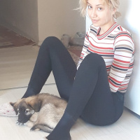 Kangal, Köpek  Atlas fotoğrafı