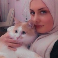 Sarman, Kedi  Piko fotoğrafı