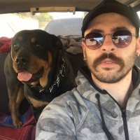 Rottweiler, Köpek  Tekila fotoğrafı