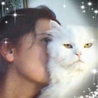 Chinchilla, Kedi  pelush fotoğrafı
