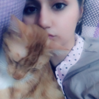Tekir Kedi, Kedi  Odin fotoğrafı