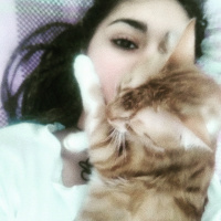 Tekir Kedi, Kedi  Odin fotoğrafı