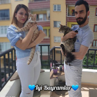 Tekir Kedi, Kedi  pablo ve benjamin fotoğrafı