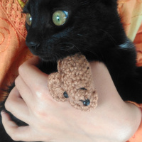Tekir Kedi, Kedi  Panter fotoğrafı