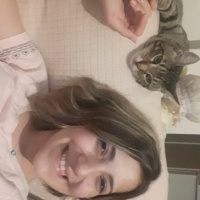 Tekir Kedi, Kedi  Huzur fotoğrafı