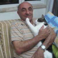 Tekir Kedi, Kedi  Kamuran fotoğrafı