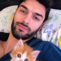 Sarman, Kedi  Foxy fotoğrafı