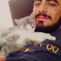 Tekir Kedi, Kedi  Bihter fotoğrafı