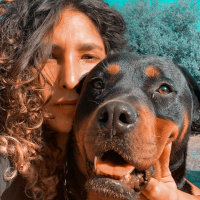 Rottweiler, Köpek  Venüs fotoğrafı
