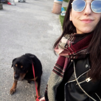 Rottweiler, Köpek  Oscar fotoğrafı