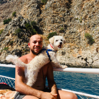Maltese, Köpek  Leo fotoğrafı
