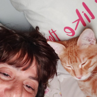 Sarman, Kedi  Cakil fotoğrafı