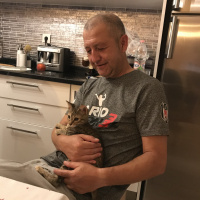 Tekir Kedi, Kedi  catarina fotoğrafı
