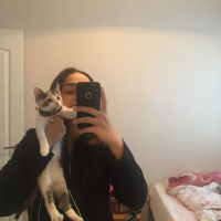 Tekir Kedi, Kedi  paçi fotoğrafı