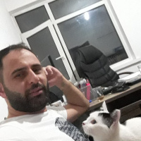 Tekir Kedi, Kedi  paşa fotoğrafı