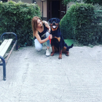 Rottweiler, Köpek  Boriss fotoğrafı