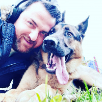 Alman Çoban Köpeği, Köpek  Tekila fotoğrafı