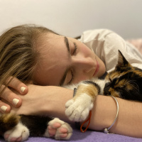Tekir Kedi, Kedi  PigletSu fotoğrafı