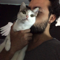 Tekir Kedi, Kedi  Benekli fotoğrafı