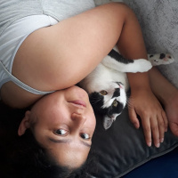 Tuxedo (Smokin) Kedi, Kedi  korsan fotoğrafı