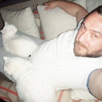 Van Kedisi, Kedi  Byrıfkı fotoğrafı