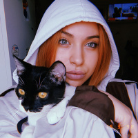 Tekir Kedi, Kedi  Kartal fotoğrafı