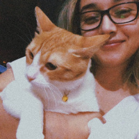 Tekir Kedi, Kedi  Efes fotoğrafı