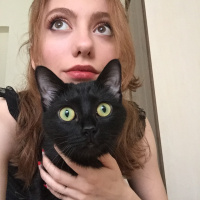 Bombay, Kedi  Mars fotoğrafı