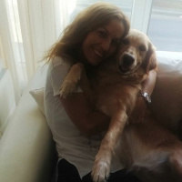 Golden Retriever, Köpek  Daisy fotoğrafı