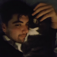 Tekir Kedi, Kedi  Mercan fotoğrafı