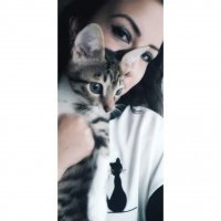 Tekir Kedi, Kedi  Cans fotoğrafı