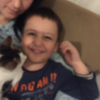 Tekir Kedi, Kedi  Şapşik fotoğrafı