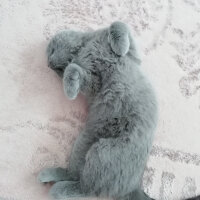 British Shorthair, Kedi  Smyrna fotoğrafı