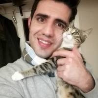 Tekir Kedi, Kedi  Samim fotoğrafı