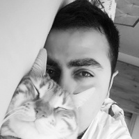 Sarman, Kedi  Kiskin fotoğrafı