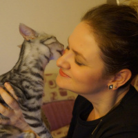Tekir Kedi, Kedi  Çiçi fotoğrafı