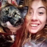 Tekir Kedi, Kedi  Heidi fotoğrafı