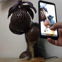 British Shorthair, Kedi  Leo fotoğrafı